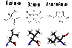 Химические формулы аминокислот ВСАА