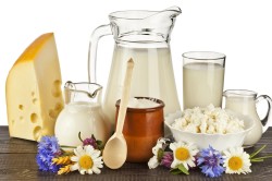Запрет на молочные продукты при бгбк диете