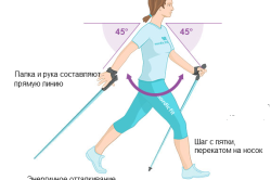 Техника скандинавской ходьбы