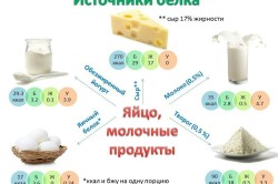 Источники белка