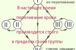 Совместимость групп крови при переливании