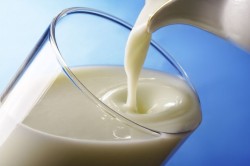 Кисло-молочные продукты при заболевании долихосигмы