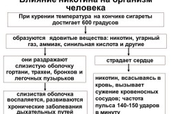 Влияние никотина на организм человека