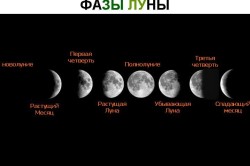Фазы луны