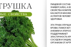 Полезные свойства петрушки