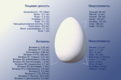 Пищевая ценность и химический состав яиц