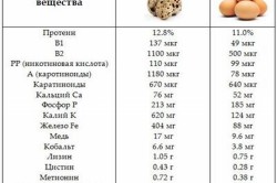 Свойства перепелиных и куриных яиц