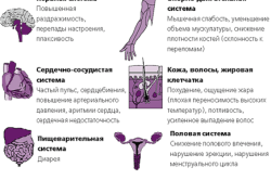 Симптомы тиреотоксикоза