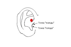 Точка жажды и точка голода на ушах